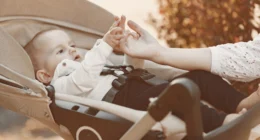 Baby Swings with Speed Control Options