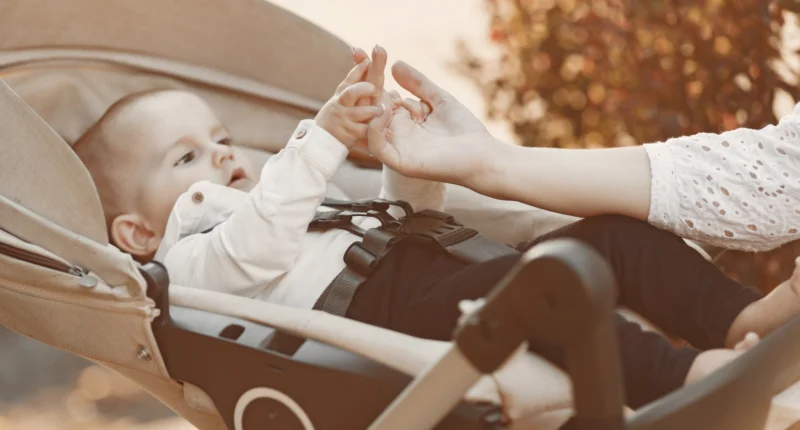 Baby Swings with Speed Control Options